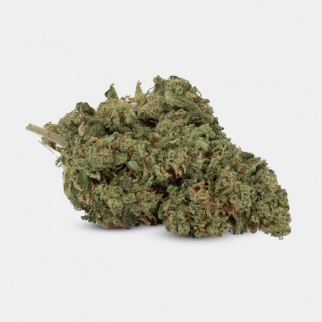 Outdoor GB CBD OG Kush Flowers - GB The Green Brand