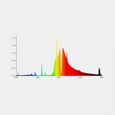 1000W DE HPS Bulb graphic