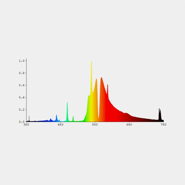1000W DE HPS Bulb graphic