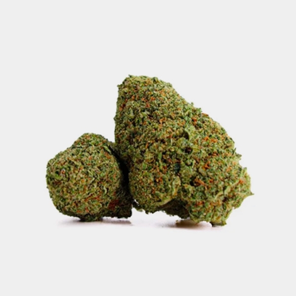 X Haze Cocori Kush CBD Flowers buds