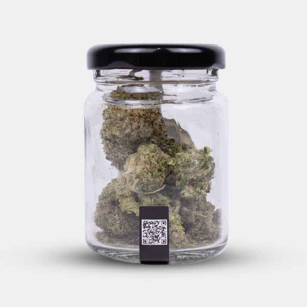Cocori Kush X Haze CBD Flowers jar