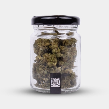 Cocori Kush Wedding Cake CBD flowers 🍰 Pure sweetness