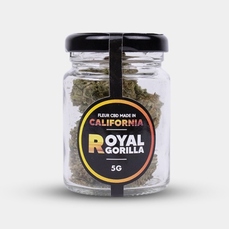 Strength and character with Royal Gorilla CBD flowers