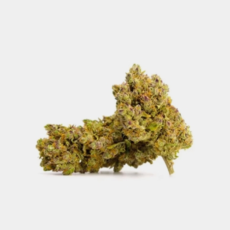 Strength and character with Royal Gorilla CBD flowers