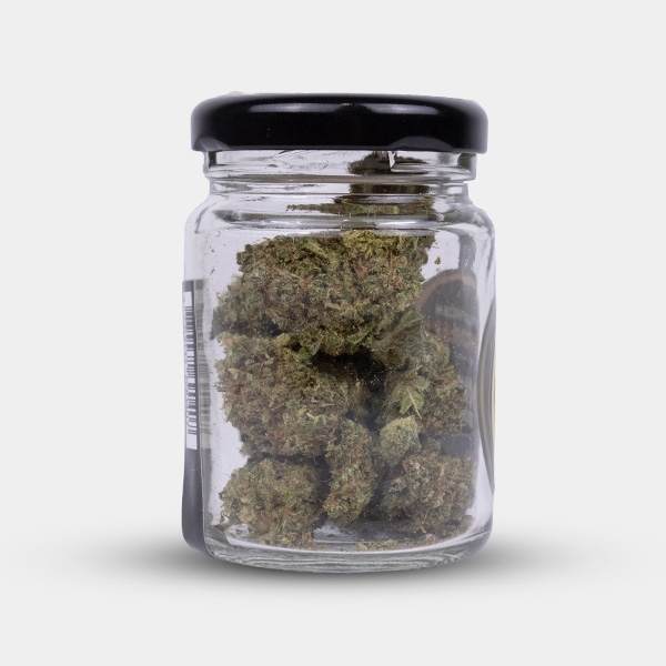 Strength and character with Royal Gorilla CBD flowers