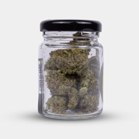 Strength and character with Royal Gorilla CBD flowers