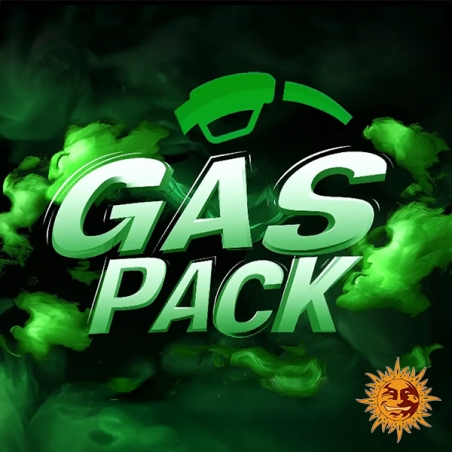 Barney’s Farm Gas Pack Strains