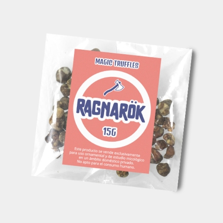 Ragnarok Magic Truffles | High intensity and characteristics