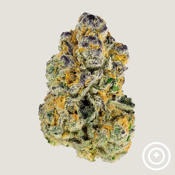 View Sour Peaches Purple City Genetics