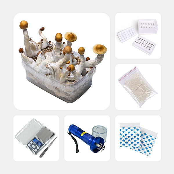 Psilocybin Microdosing Kit Pro | GB The Green Brand