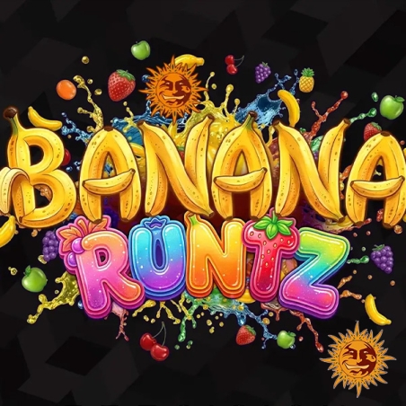 Banana Runtz F1 Hybrid design