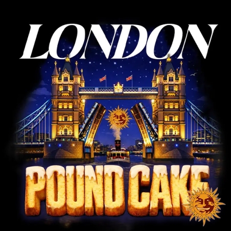 London Pound Cake F1 Hybrid design