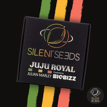 Jamaican Sunset by Julian Marley | GB