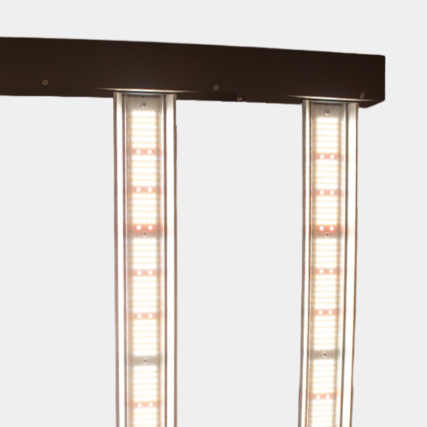 Hortilight  JUNE CORELUX 720W LED | GB The Green Brand