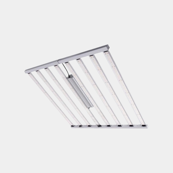 Spider King 1000 W LED 2