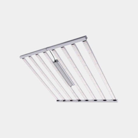 Spider King 1000 W LED 2
