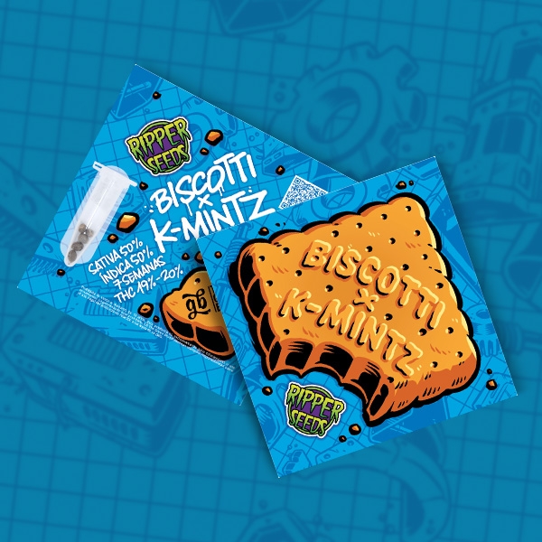 View K-Mintz Biscuits Ripper Seeds x GB | Limited Edition