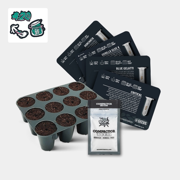 View GB Seeds Box Auto - GB The Green Brand