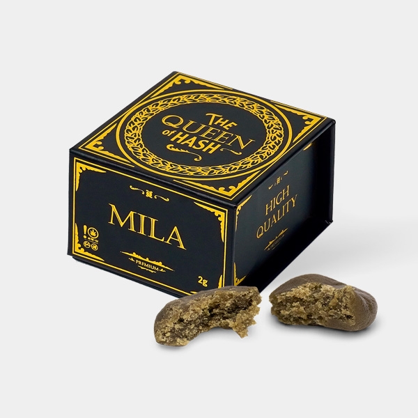 Mila x GB The Queen of Hash Charas - GB The Green Brand