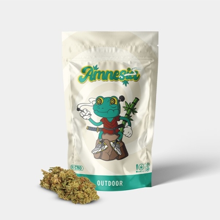 Party Kit - GB The Green Brand