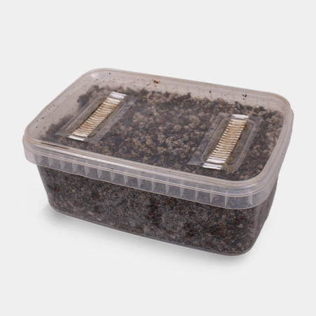 Mushroom Substrate - GB The Green Brand
