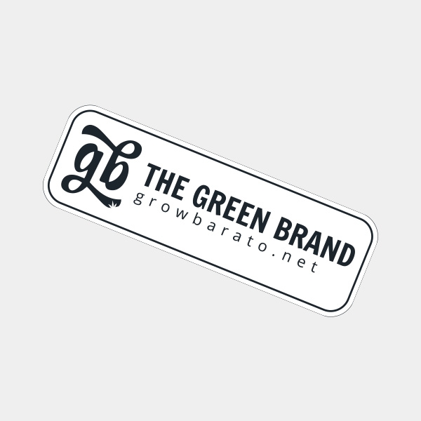 RAW Kit with unique products - GB The Green Brand