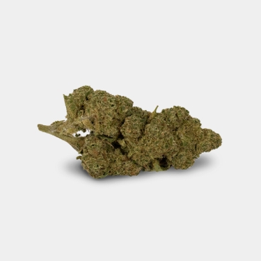 Outdoor GB CBD 'Amnesia' Flowers - GB The Green Brand