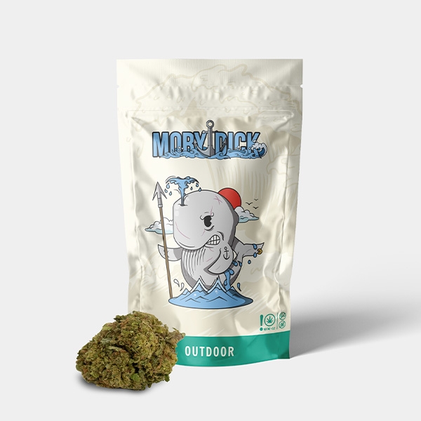 View Outdoor GB CBD Moby Dick Flowers - GB The Green Brand