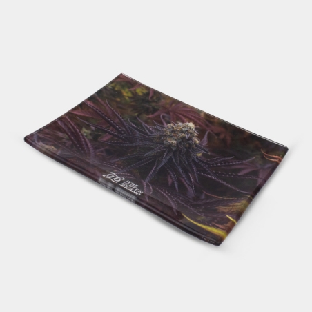 GB Oreoz crystal tray 16x12