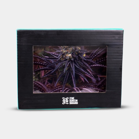 GB Oreoz crystal tray 16x12