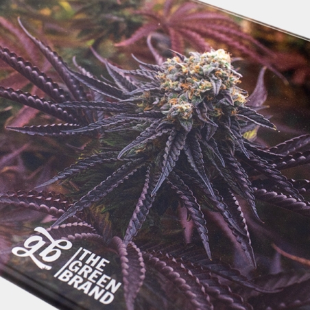 GB Oreoz crystal tray 16x12