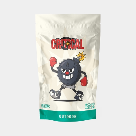 GB CBD critical