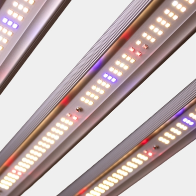 730W Black Ultra GB Lighting Dimmable LED System with bar on