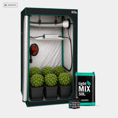 Complete Beginner Kit 80x80 - GB The Green Brand