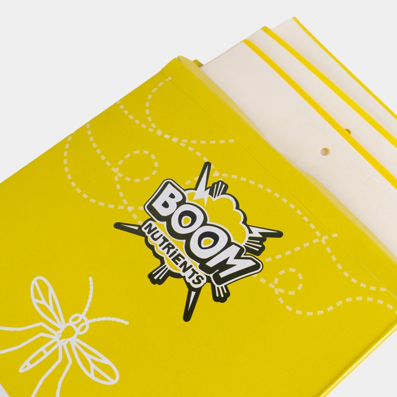 Yellow traps open box