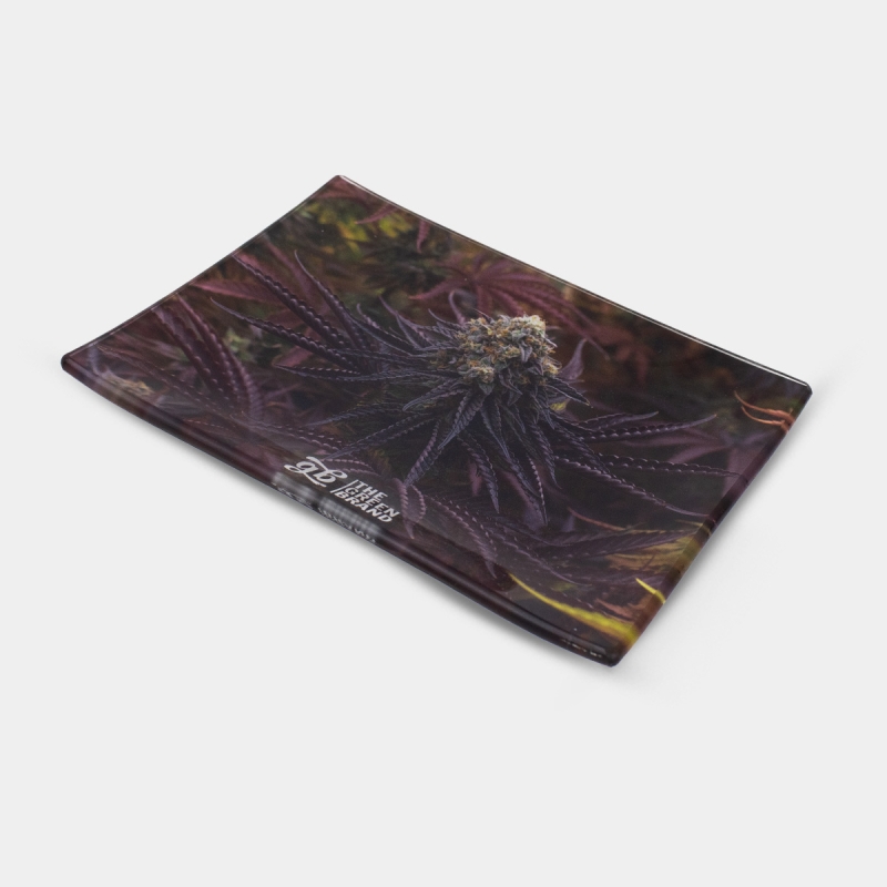 Oreoz Kit | The most complete pack for Oreoz fans