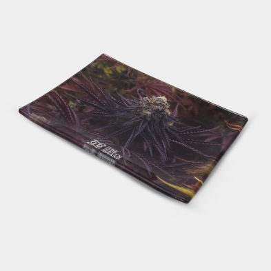 Oreoz Kit | The most complete pack for Oreoz fans