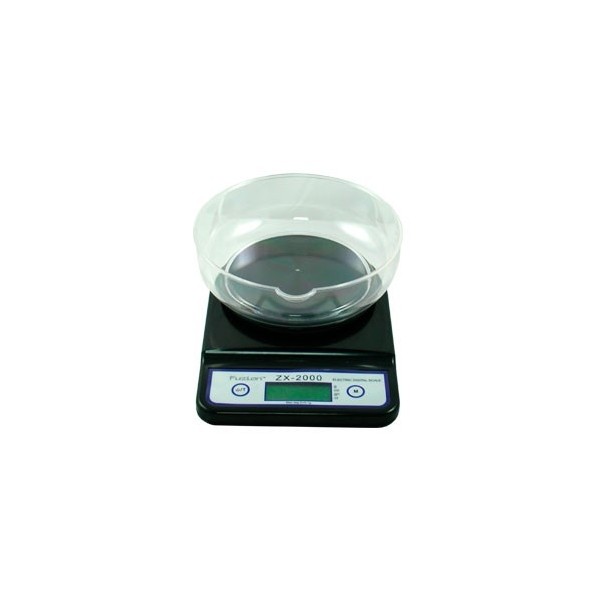 Zx 2000 Scales