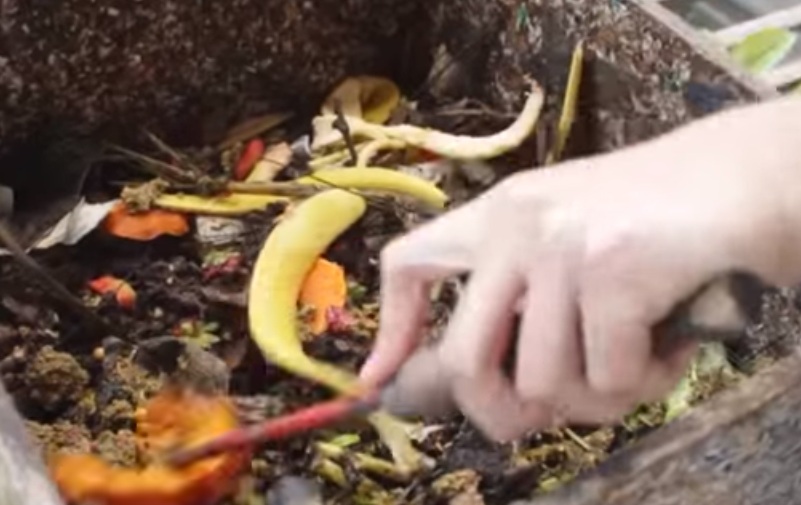 Composting and Vermicomposting Composting and Vermicomposting