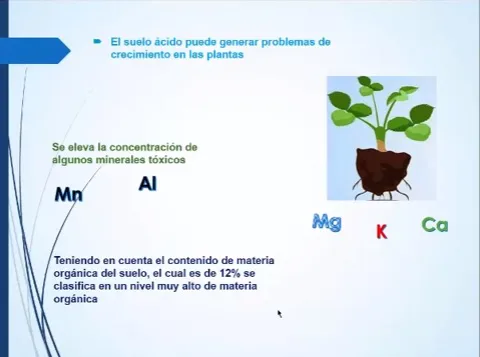 Cannabis Contaminants Cannabis Contaminants