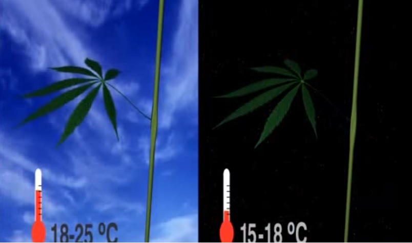 Grow Guides Grow Guides
