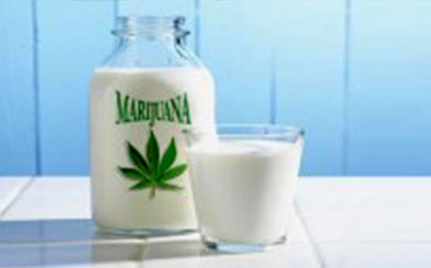 Leche de marihuana