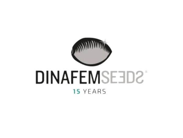 Dinafem and its business model Dinafem and its business model