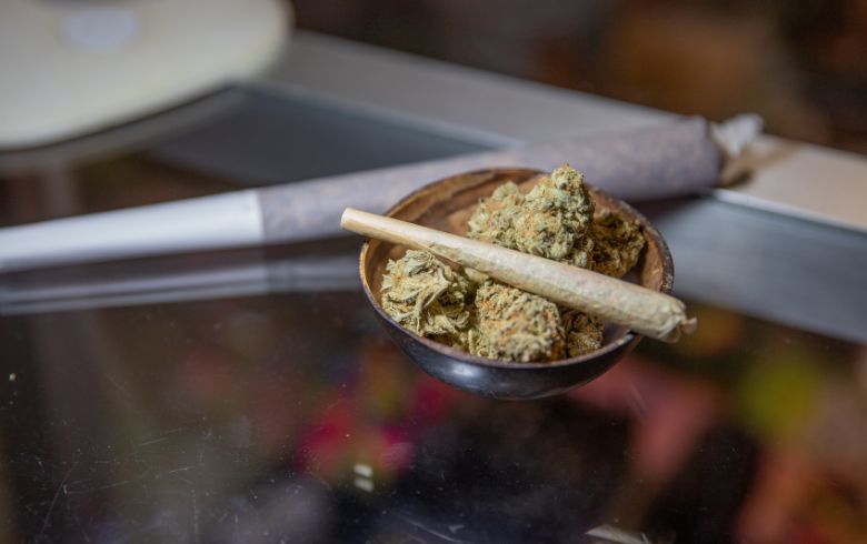 Cannabis news Cannabis news