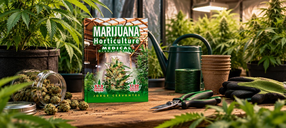 Jorge Cervantes, history of the cannabis cultivation master Jorge Cervantes, history of the cannabis cultivation master