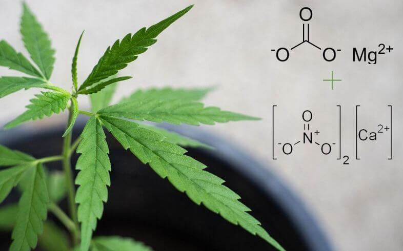 Dolomite: organic fertilizer for marijuana Dolomite: organic fertilizer for marijuana