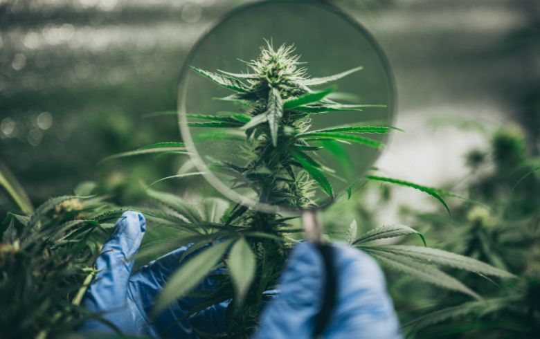 Grow Guides Grow Guides
