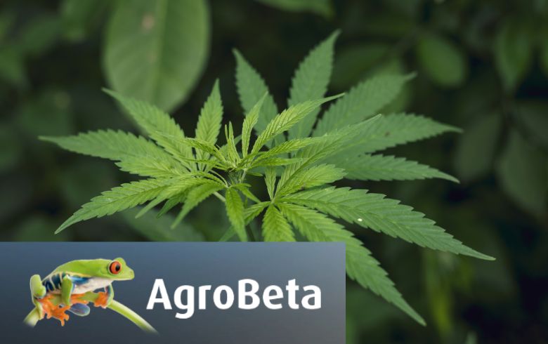 Grow Guides Grow Guides