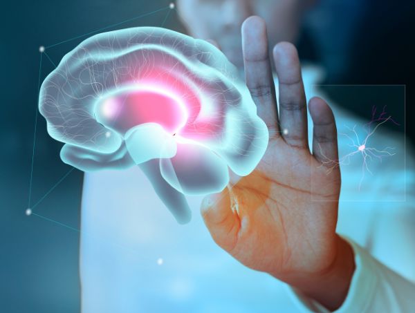 What’s the endocannabinoid system and how to activate it? What’s the endocannabinoid system and how to activate it?