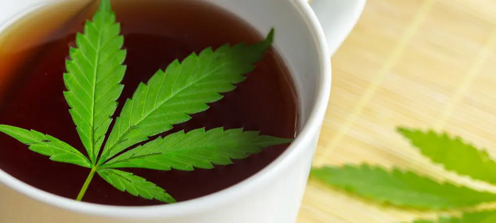 Marijuana tea